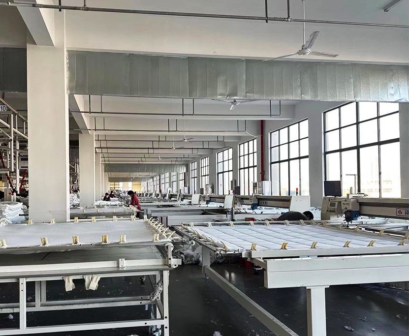 Jiangsu Mengjini Technology Group Co., Ltd.